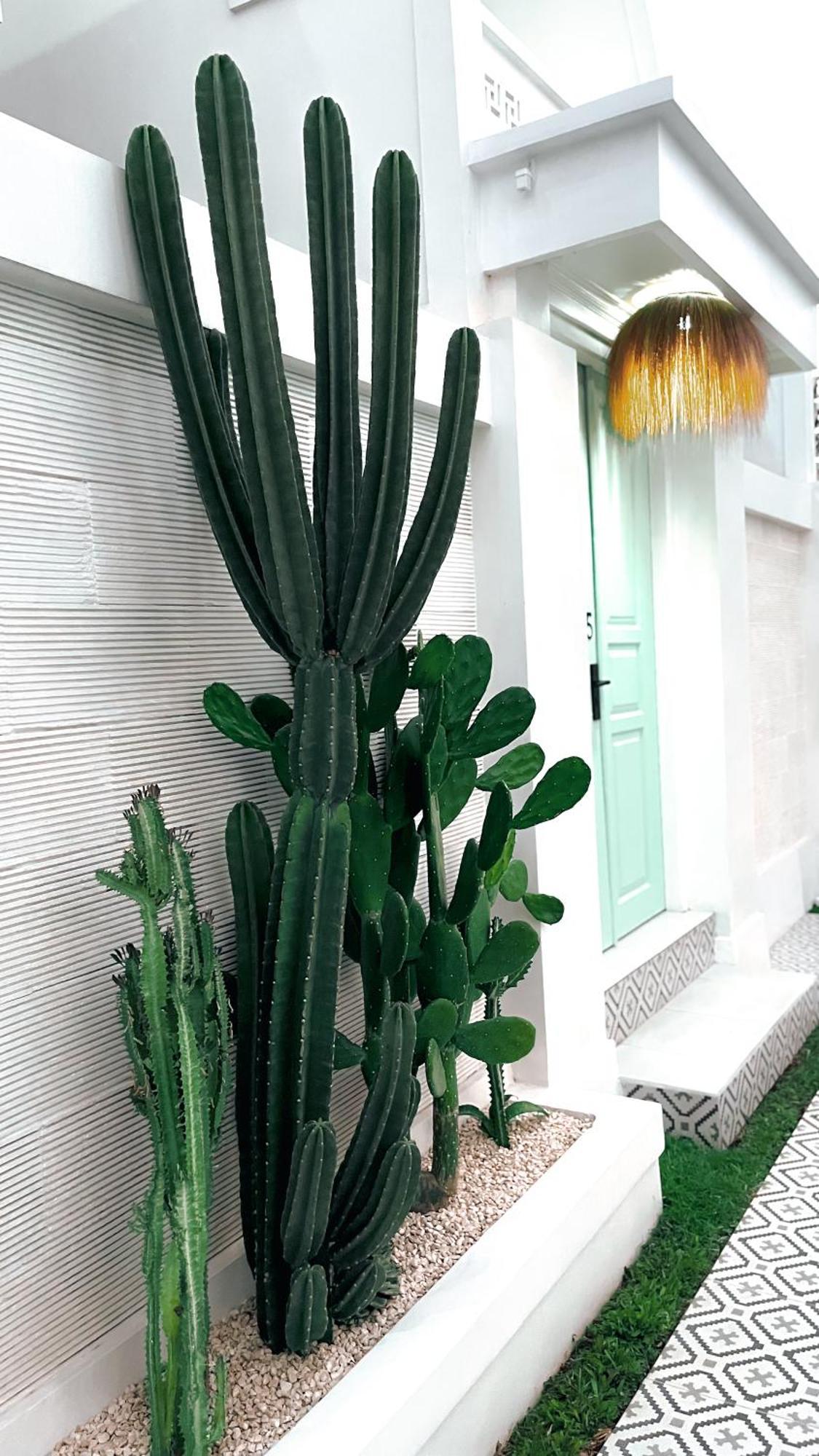 Kaktus Boutique Apartments Bali - Adults Only Legian  Exterior photo